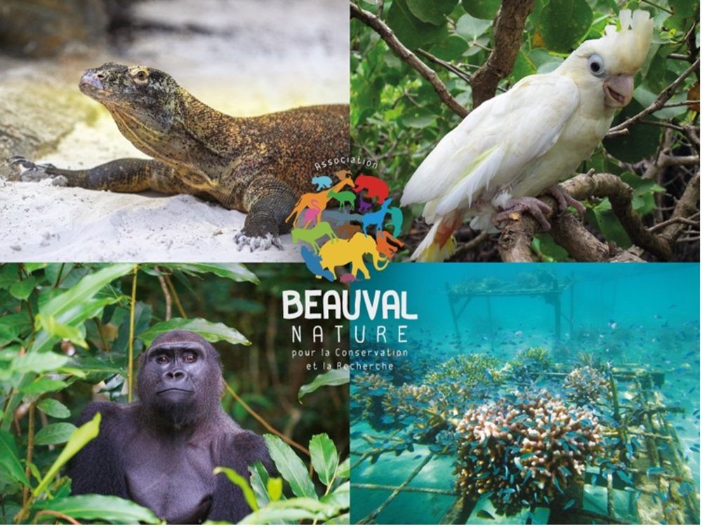 Espèces suivies par Beauval Nature